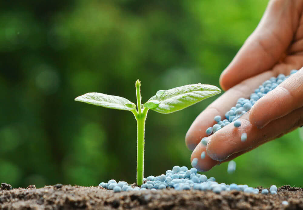 If you are into gardening, then the reason for you coming here is that you