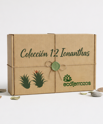 Pack 12 Ionanthas colección