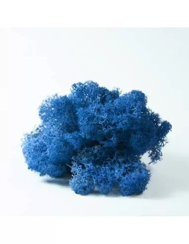 Liquen azul
