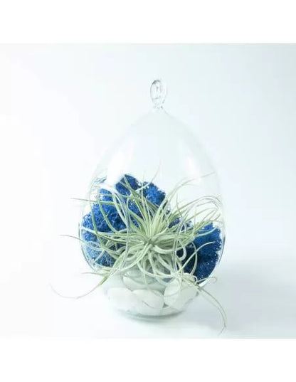 Liquen azul