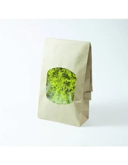 Liquen verde