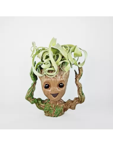 Wurzelhalter-Puppe fröhlich + Tillandsie