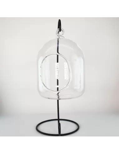 Glass hanging terrarium with black metal stand
