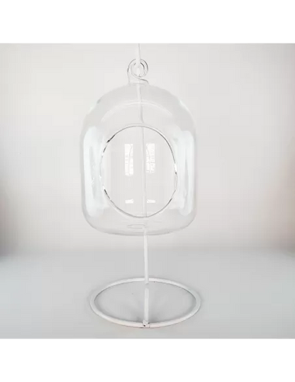 Glass hanging terrarium with black metal stand